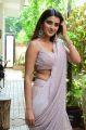 Actress Nidhhi Agerwal Saree Pics @ iSmart Shankar Interview