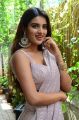 Actress Nidhhi Agerwal Saree Pics @ iSmart Shankar Interview