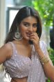 Actress Nidhhi Agerwal Saree Pics @ iSmart Shankar Movie Interview