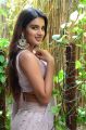 Actress Nidhhi Agerwal Saree Pics @ iSmart Shankar Interview