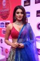 Actress Nidhi Agarwal Images @ Zee Telugu Kutumbam Awards 2019 Red Carpet