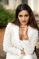 Actress Niddhi Agerwal Latest Pictures @ iSmart Shankar Blockbuster Press Meet