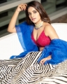 Actress Nidhhi Agerwal New Photoshoot Images