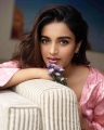 Actress Nidhhi Agerwal Photoshoot Images