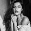 Actress Nidhhi Agerwal Photoshoot Images