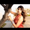 Actress Nidhhi Agerwal New Photoshoot Images