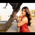 Actress Nidhhi Agerwal Photoshoot Images