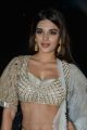 Actress Nidhhi Agerwal Pics @ Mr Majnu Movie Pre Release Event