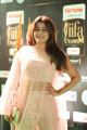 Actress Nidhi Subbaiah Photos @ International Indian Film Academy Awards Utsavam 2017