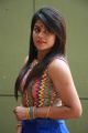 Tamil Actress Niharika Photos @ Eedili Movie Launch