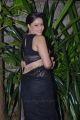 Actress Nikesha Patel Hot in Black Saree Pics