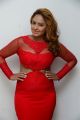 Actress Nikesha Patel in Red Dress Hot Stills