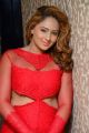Tamil Actress Nikesha Patel Hot in Red Dress Stills