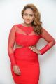 Actress Nikesha Patel in Red Dress Hot Stills