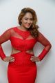 Tamil Actress Nikesha Patel Hot in Red Dress Stills