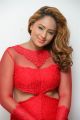 Actress Nikesha Patel Red Dress Hot Stills