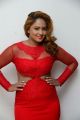 Tamil Actress Nikesha Patel Hot in Red Dress Stills