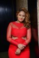 Tamil Actress Nikesha Patel Hot in Red Dress Stills