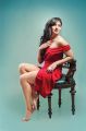 Actress Nikesha Patel Hot Photoshoot Stills