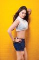 Tamil Actress Nikesha Patel Hot Photoshoot Stills