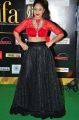 Actress Nikesha Patel Hot Images @ IIFA Utsavam 2016 Green Carpet