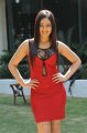 Nikesha Patel Hot Photoshoot in Red Skirt