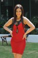 Nikesha Patel in Hot Red Skirt Stills