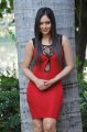 Nikesha Patel in Hot Red Skirt Stills