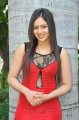 Nikesha Patel in Hot Red Skirt Stills