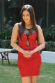 Nikesha Patel Hot Photoshoot in Red Skirt