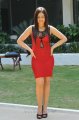 Nikesha Patel Hot Photoshoot in Red Skirt