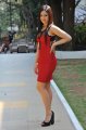 Nikesha Patel Hot Photoshoot in Red Skirt