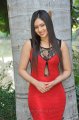 Nikesha Patel Hot Photoshoot in Red Skirt