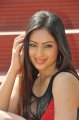 Nikesha Patel in Hot Red Skirt Stills