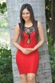 Nikesha Patel in Hot Red Skirt Stills