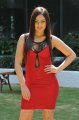 Nikesha Patel Hot Photoshoot in Red Skirt