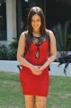 Nikesha Patel Hot Photoshoot in Red Skirt