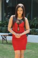 Nikesha Patel in Hot Red Skirt Stills