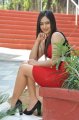 Nikesha Patel Hot Legs Show Stills