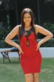 Nikesha Patel Hot Photoshoot in Red Skirt