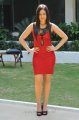 Nikesha Patel Hot Photoshoot in Red Skirt