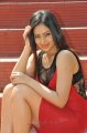 Nikesha Patel Hot Legs Show Stills