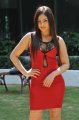 Nikesha Patel Hot Photoshoot in Red Skirt