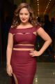 Actress Nikesha Patel Hot Images in Dark Pink Dress
