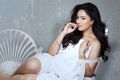 Actress Nikesha Patel Latest Hot PhotoShoot Images