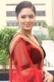 Narathan Heroine Nikesha Patel Latest Hot Pictures