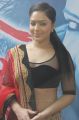 Tamil Heroine Nikesha Patel Latest Hot Pictures