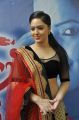 Narathan Heroine Nikesha Patel Latest Hot Pictures