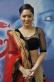 Tamil Heroine Nikesha Patel Latest Hot Pictures