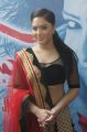 Narathan Heroine Nikesha Patel Latest Hot Pictures